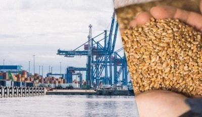 В Україні заговорили про наслідки для Ізраїлю через крадене зерно, – журналіст Axios